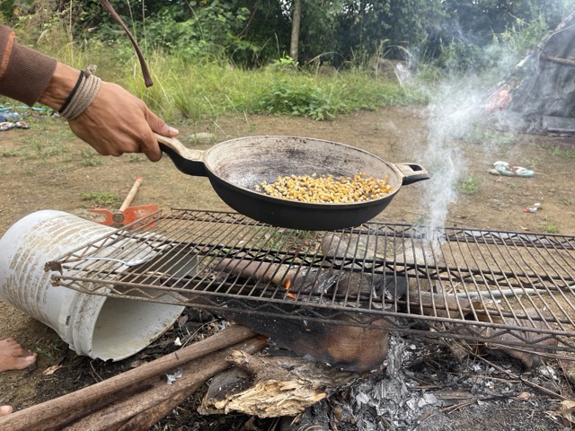 Photo 19 of 80 from the jungle